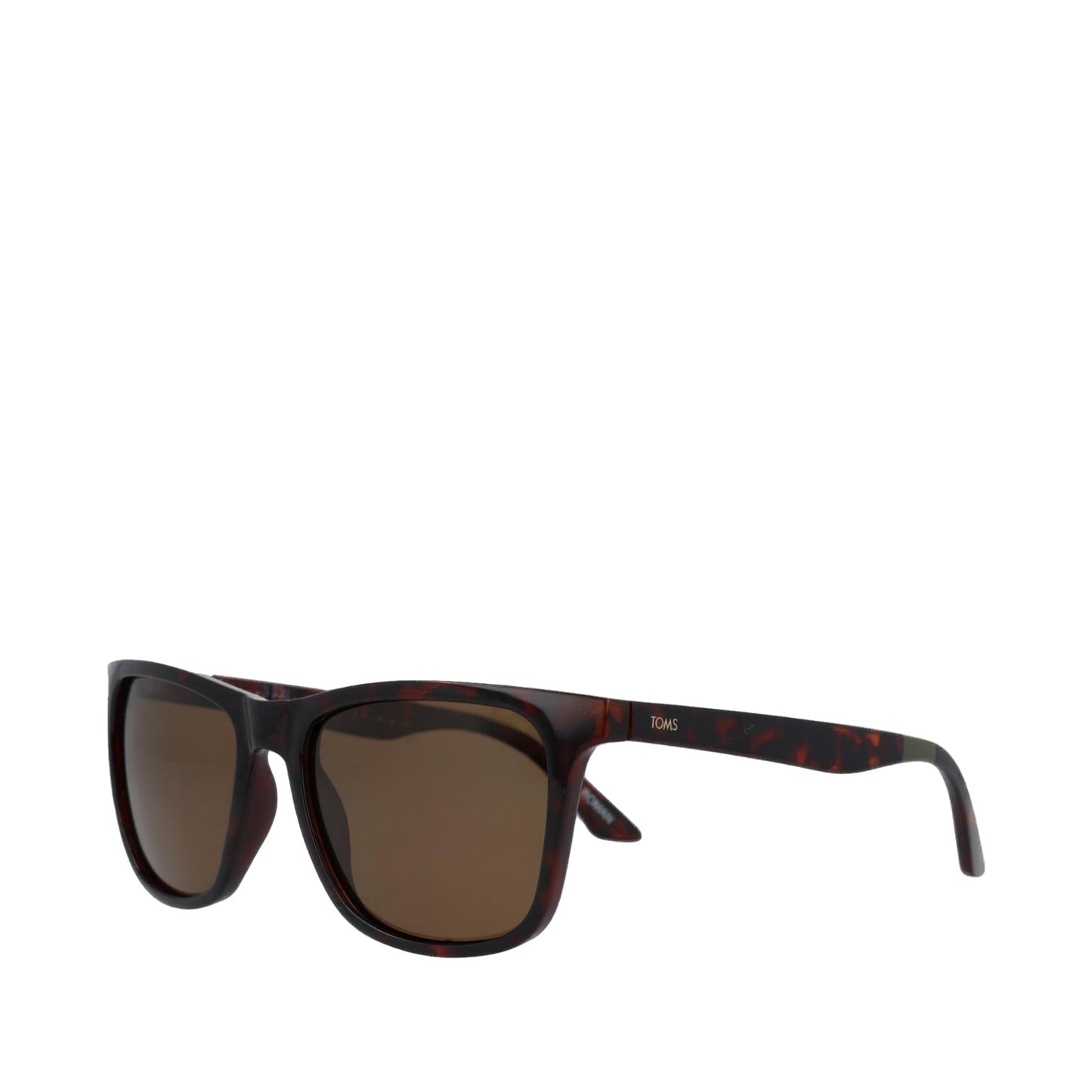 Roman Whiskey Tortoise Traveler Sunglasses
