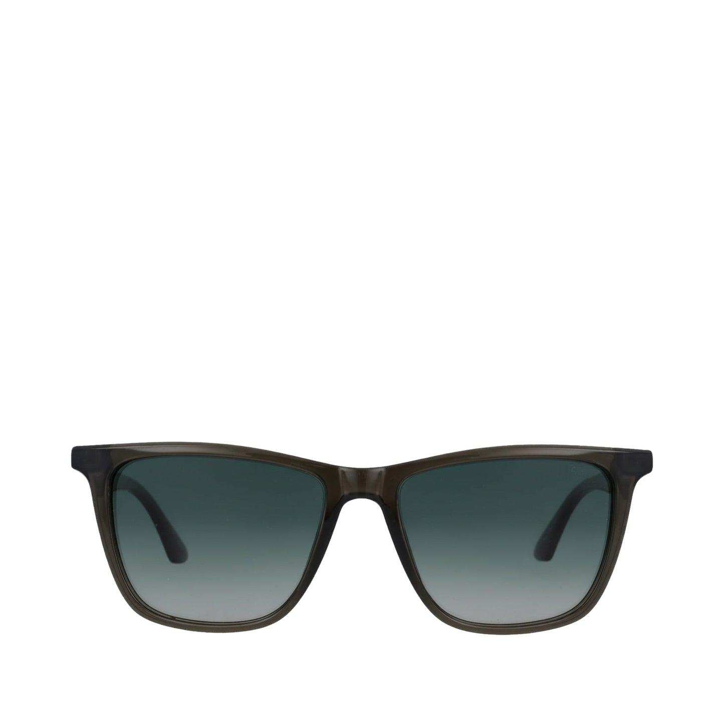 Rio Forest Green Tortoise Traveler Sunglasses